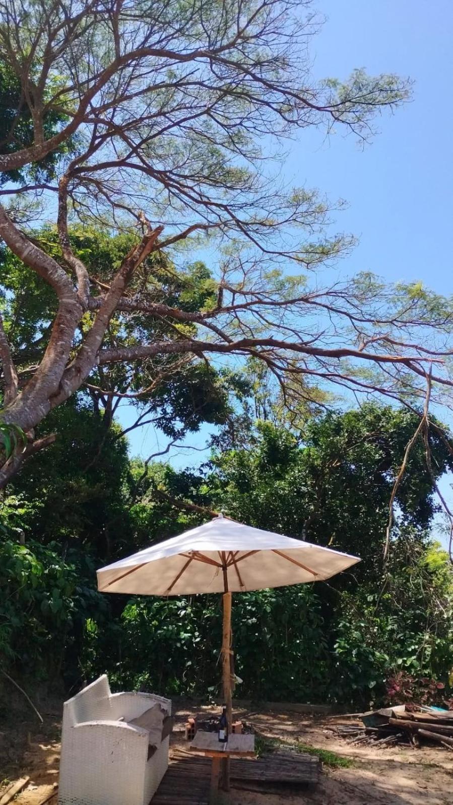 Vila Pepouze Hostel Morro de São Paulo Exteriör bild